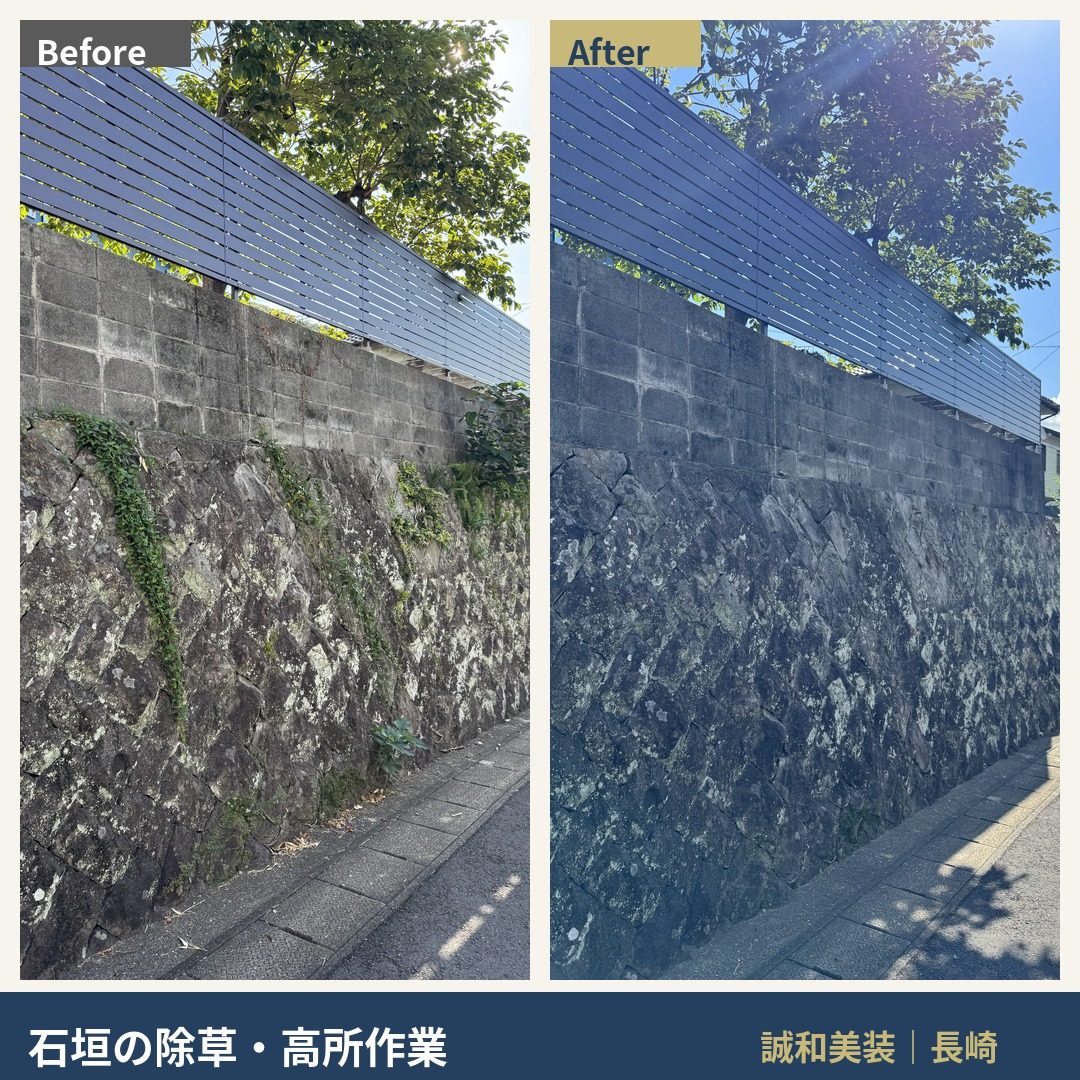 長崎の石垣の除草Before/After。石の隙間から伸びたツタ・雑草を除去